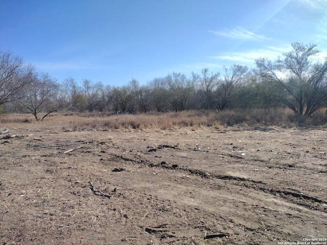 view of local wilderness