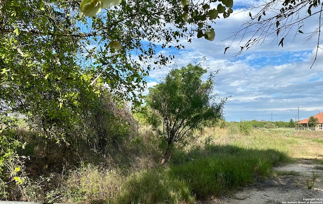 view of local wilderness