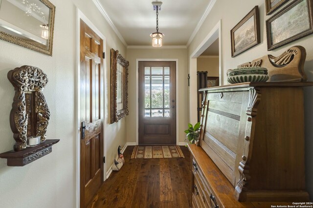 entrance foyer with ornamental molding and dark hardwood / wood-style flooring