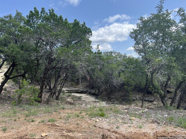 Listing photo 3 for 245 Sydney Spgs, Helotes TX 78023