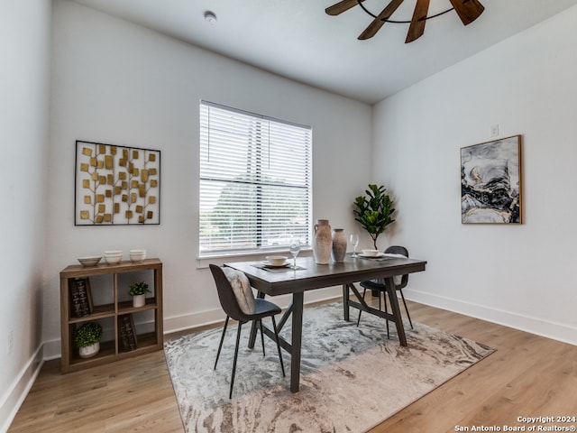 office featuring ceiling fan and light wood-type flooring