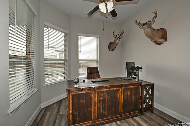 office space featuring dark hardwood / wood-style flooring, plenty of natural light, and ceiling fan