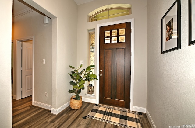 foyer entrance featuring dark hardwood / wood-style flooring