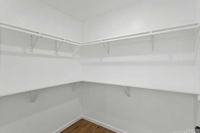 spacious closet featuring wood-type flooring