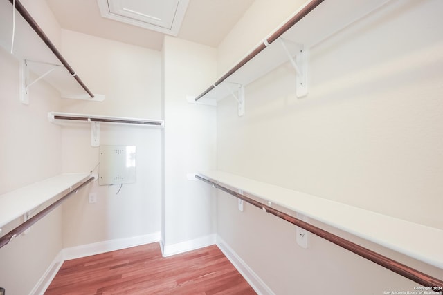 walk in closet with light wood-type flooring