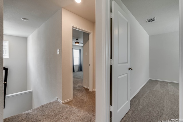 hallway with carpet