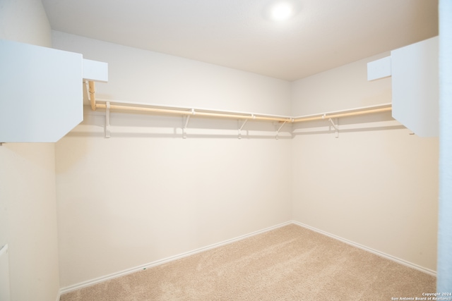 walk in closet with carpet