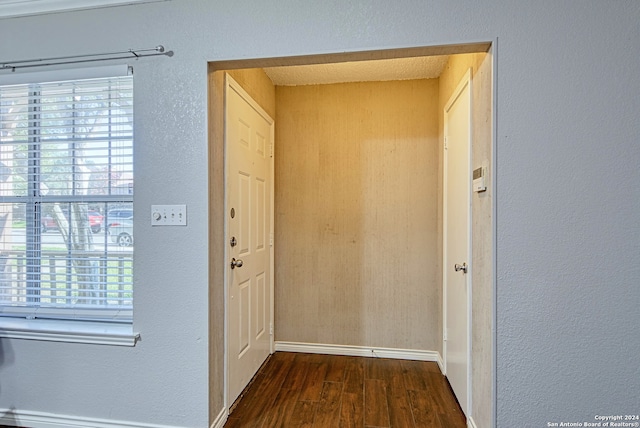 interior space featuring dark hardwood / wood-style flooring