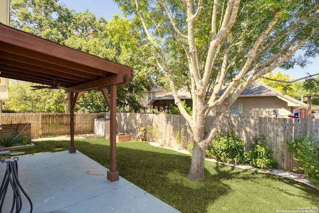 view of yard featuring a patio