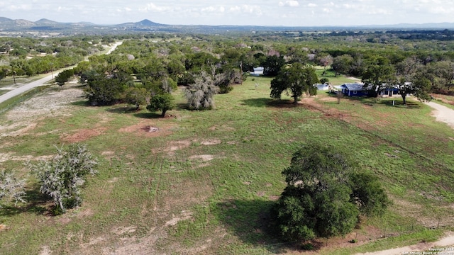 aerial view with a mountain view and a rural view