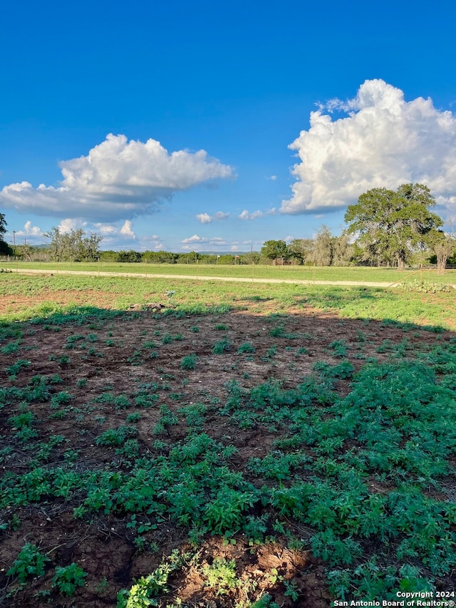 view of yard featuring a rural view