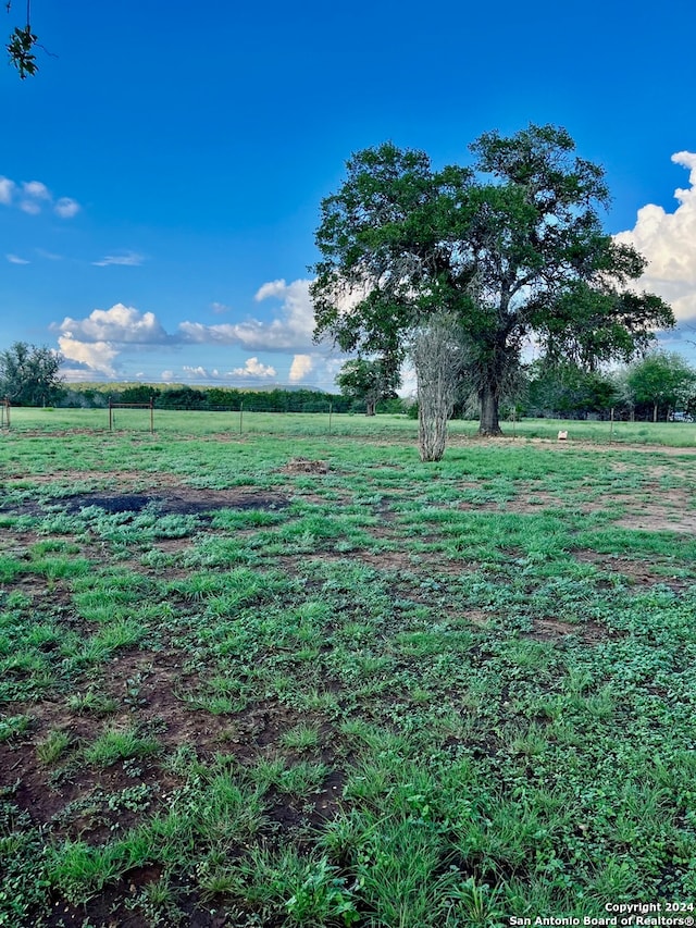 view of yard featuring a rural view