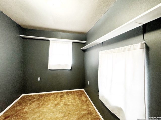 walk in closet featuring carpet