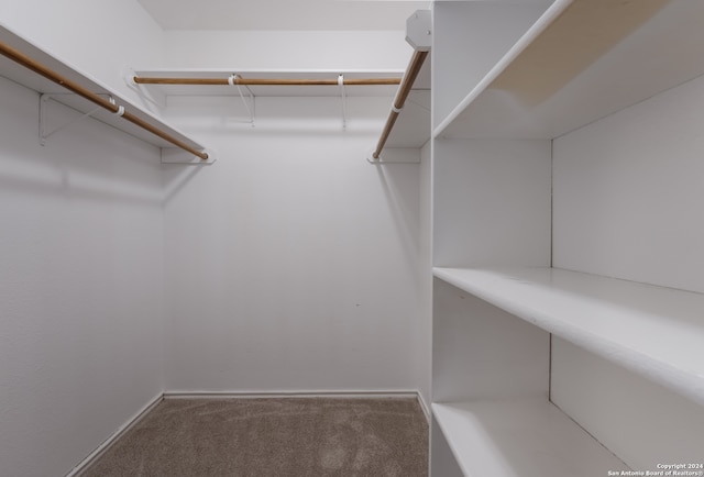 spacious closet with carpet