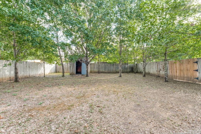 view of yard with a shed