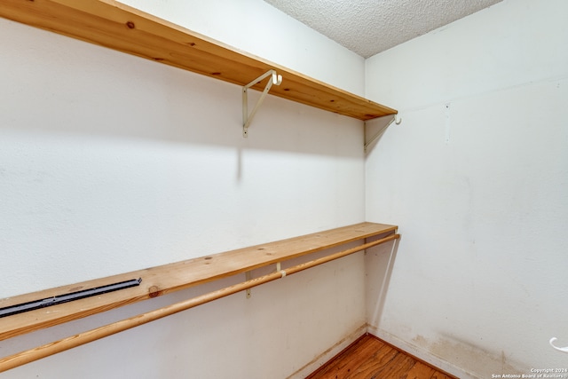 walk in closet featuring light wood-type flooring