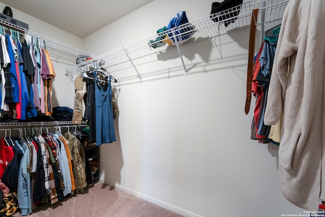 spacious closet featuring carpet floors