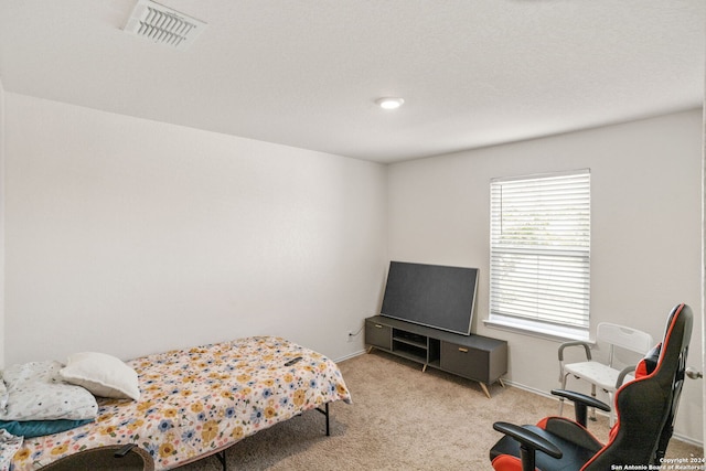 bedroom with carpet floors