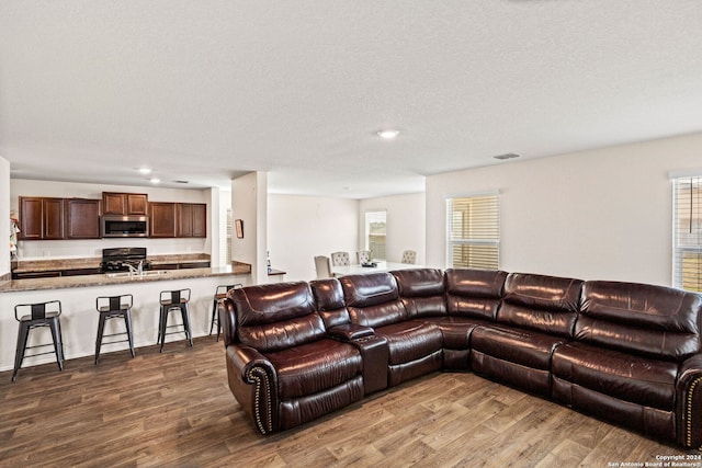 living room featuring plenty of natural light, sink, and dark hardwood / wood-style flooring