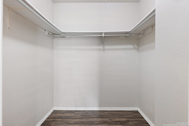 spacious closet with dark hardwood / wood-style flooring