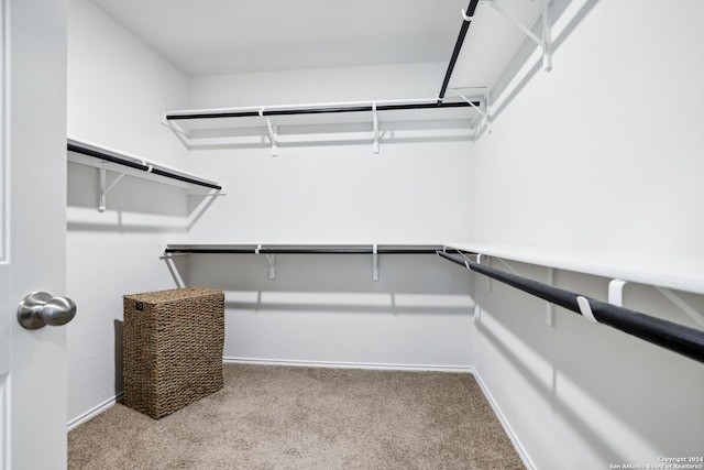 spacious closet with carpet floors