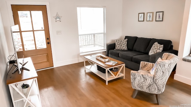 living room featuring plenty of natural light and hardwood / wood-style floors