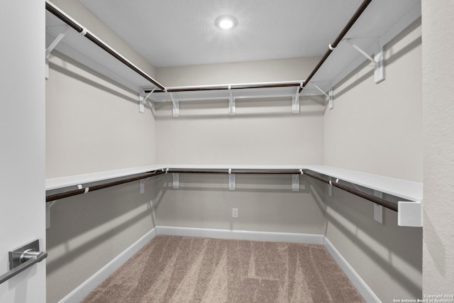 walk in closet with carpet