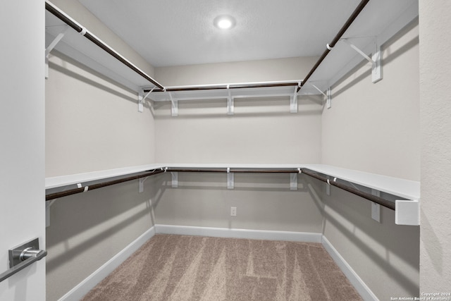 spacious closet with carpet floors