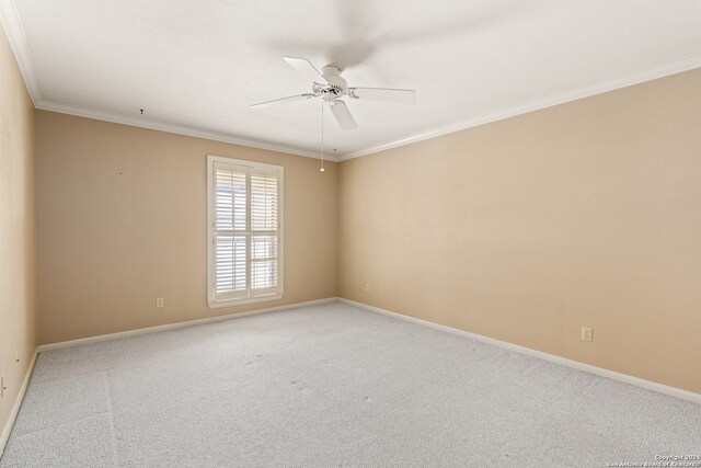 spare room featuring crown molding, ceiling fan, and carpet floors