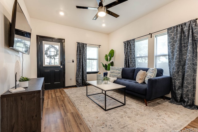 living room featuring ceiling fan and wood-type flooring