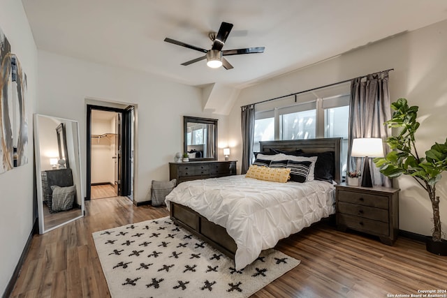 bedroom with ceiling fan, a walk in closet, a closet, and wood-type flooring