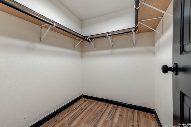 spacious closet featuring wood-type flooring