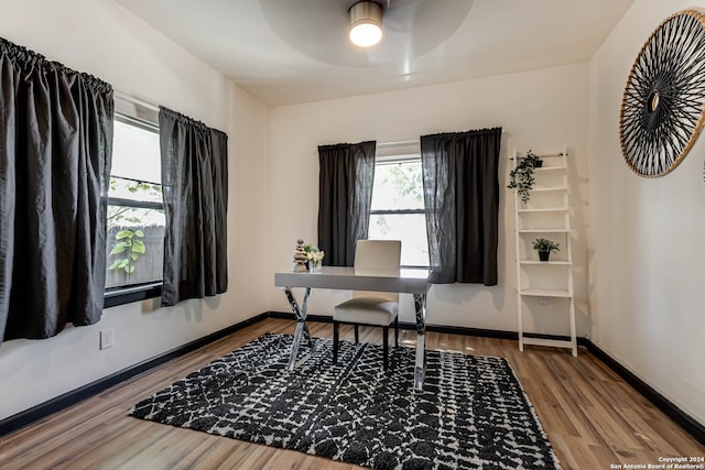 home office with hardwood / wood-style floors and ceiling fan