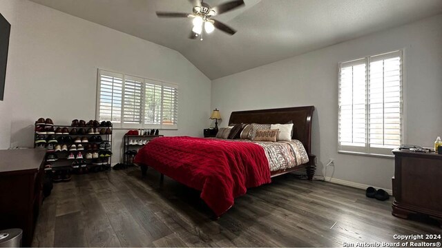 foyer entrance featuring plenty of natural light and dark hardwood / wood-style floors