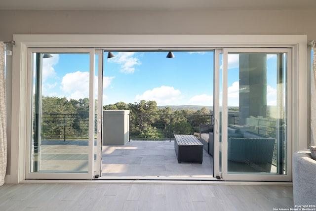 doorway to outside featuring light hardwood / wood-style flooring