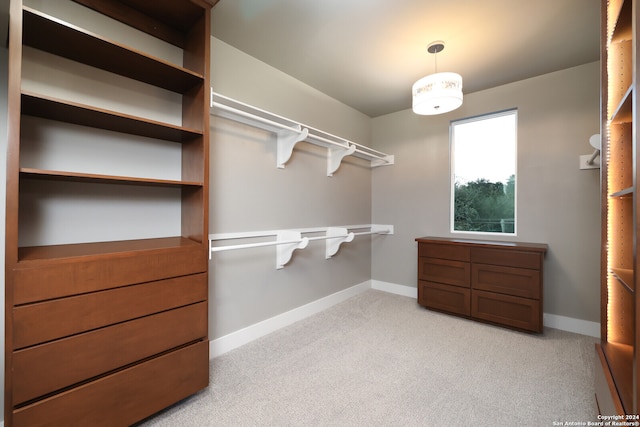 walk in closet featuring light colored carpet