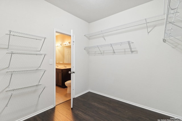 spacious closet with hardwood / wood-style floors