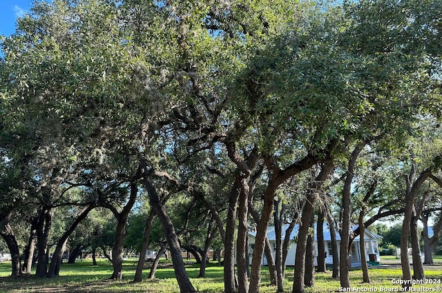 view of property's community with a lawn