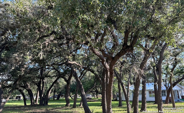 surrounding community featuring a yard