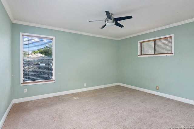 empty room featuring crown molding, ceiling fan, and carpet flooring