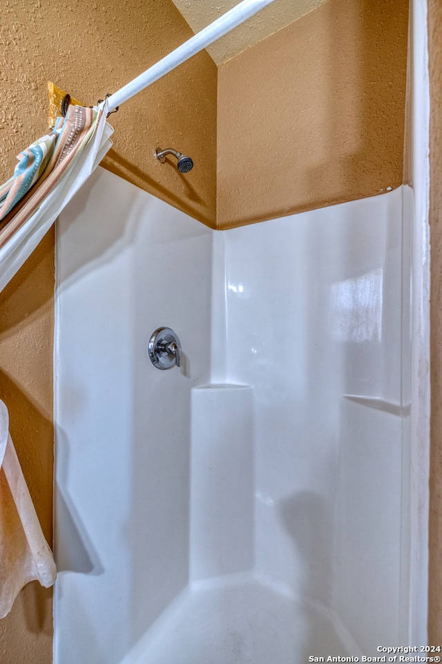 interior details featuring walk in shower