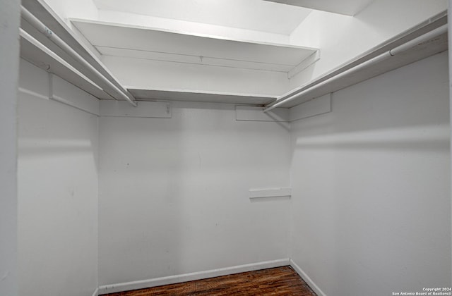 spacious closet featuring dark wood-style flooring