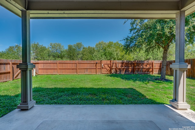 view of yard featuring a patio