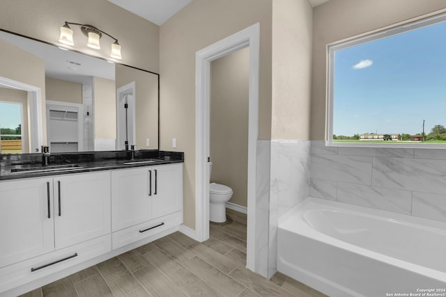 bathroom with vanity, a bath, a wealth of natural light, and toilet