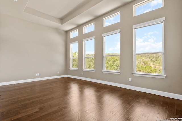 spare room with dark wood finished floors, a raised ceiling, and baseboards