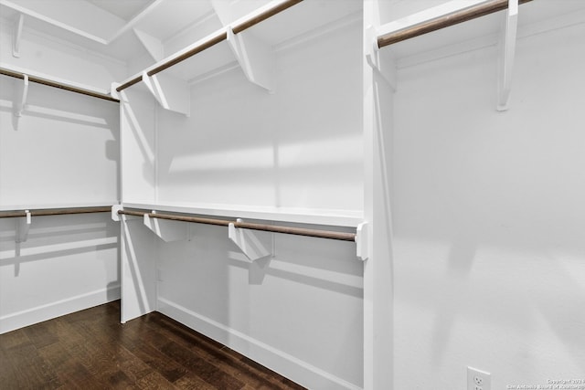 spacious closet featuring wood-type flooring