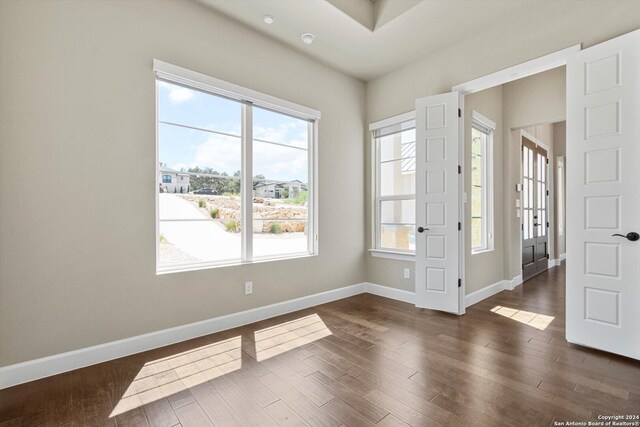 unfurnished room featuring dark wood-type flooring