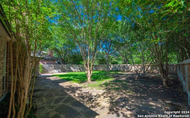 view of yard with a patio