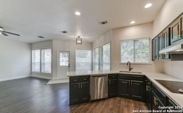 kitchen featuring black electric stovetop, dishwasher, sink, ceiling fan, and dark hardwood / wood-style floors