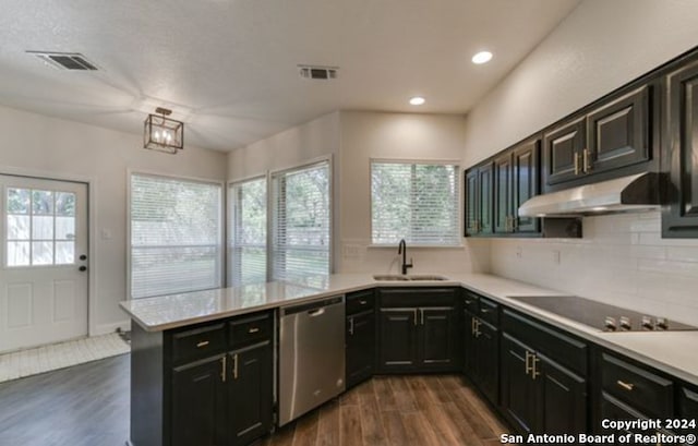 kitchen with black electric cooktop, a healthy amount of sunlight, stainless steel dishwasher, and dark hardwood / wood-style floors